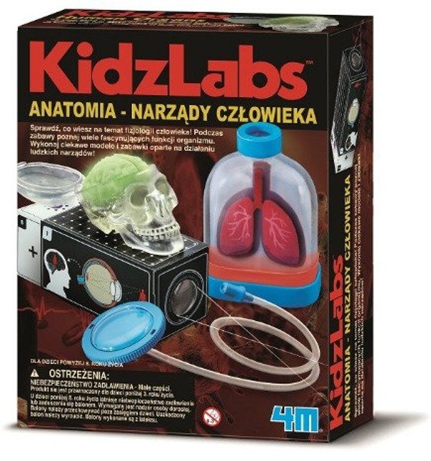 4M Kidzlabs Zestaw Anatomia - Narządy Człowieka