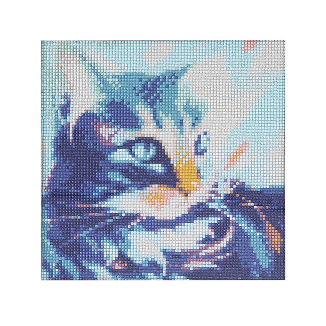 Kot Diamentowy Obraz 30x30 Mozaika
