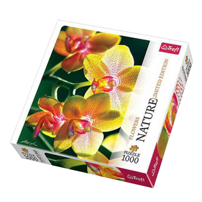 OUTLET Trefl Puzzle Orchidea 10503