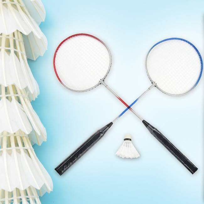 Zestaw Dwukolorowy Do Gry w Badmintona z Lotką