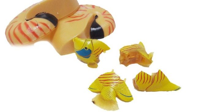 Zwierzęta Morskie w Ślimaku - Figurka Do Złożenia MIX - Puzzle 3D